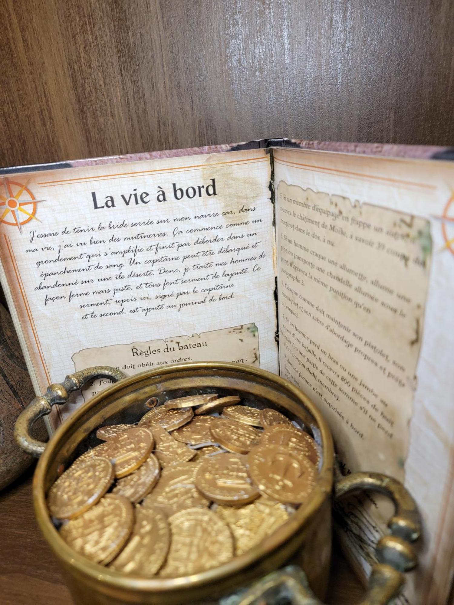 Le Repaire Des Pirates Logement Magique Sainte-Croix-en-Plaine Zewnętrze zdjęcie